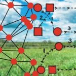 Scientists build a tiny wireless device that records animal brains in the wild; it is lighter than a US dime |