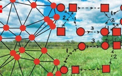 Scientists build a tiny wireless device that records animal brains in the wild; it is lighter than a US dime |