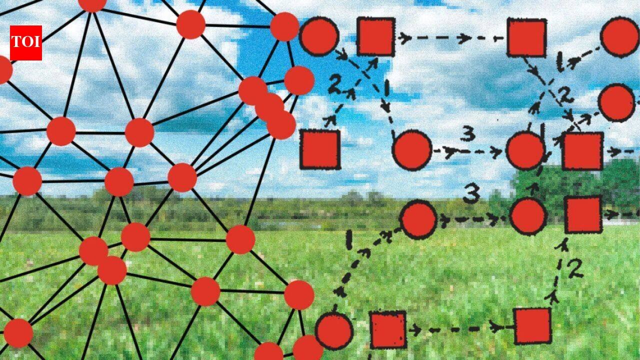 Scientists build a tiny wireless device that records animal brains in the wild; it is lighter than a US dime |