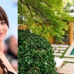 In 2016, Dakota Johnson paid .55 million for a 1947 Los Angeles midcentury home; after renovating the ‘tree house’ with Pierce & Ward, she sold it a decade later for .92 million after asking  million