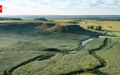 A Texas ranch spanning nearly 77,000 acres is back on the market for $180 million after the 2024 Smokehouse Creek Fire scorched more than half its land; the property has since undergone a major recovery