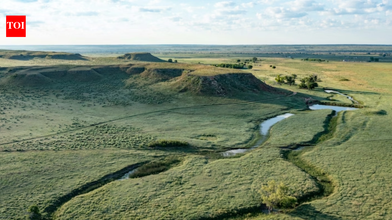 A Texas ranch spanning nearly 77,000 acres is back on the market for 0 million after the 2024 Smokehouse Creek Fire scorched more than half its land; the property has since undergone a major recovery