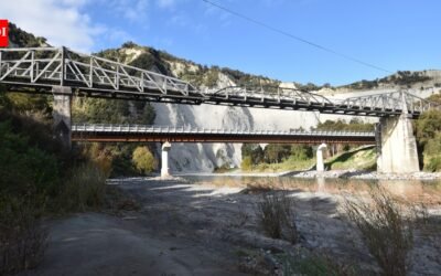 New Zealand replaced this 1904 bridge with a modern crossing after 112 years; locals saved the historic structure, now the country’s only surviving steel cantilever road bridge | World News