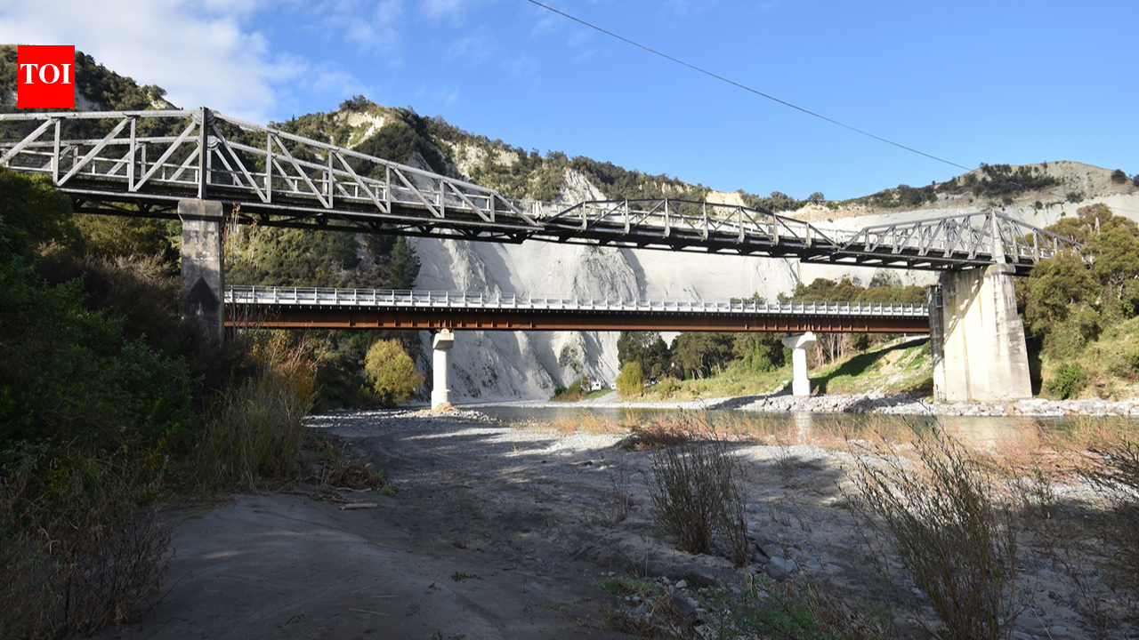 New Zealand replaced this 1904 bridge with a modern crossing after 112 years; locals saved the historic structure, now the country’s only surviving steel cantilever road bridge | World News