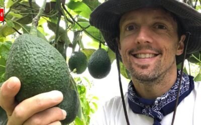 Jason Mraz bought an old San Diego avocado grove as a retreat in 2004; two decades later it is a 17-acre regenerative farm growing organic avocados, coffee and other crops, with much of its fruit sold locally