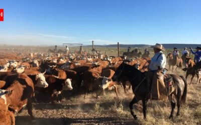 A Texas family spent nearly eight years fighting over the 65,000-acre Brite Ranch, worth at least $60 million; days before trial, the heirs agreed to divide the historic property into four pieces