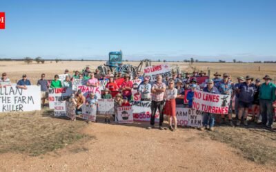 12 Australian farming families were fined $814 each for blocking surveyors; they say a proposed 480-kilometre power line threatens their land | World News
