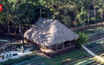 In 1981, Francis Ford Coppola found an abandoned Belize jungle lodge and turned it into a family retreat; 12 years later Blancaneaux opened as a 20-room resort, now drawing about 85% of its power from a creek