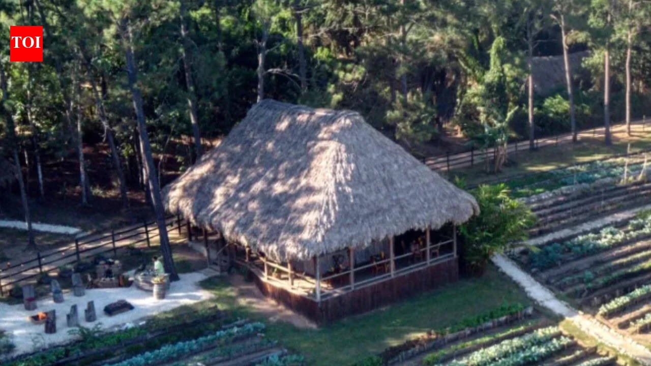 In 1981, Francis Ford Coppola found an abandoned Belize jungle lodge and turned it into a family retreat; 12 years later Blancaneaux opened as a 20-room resort, now drawing about 85% of its power from a creek