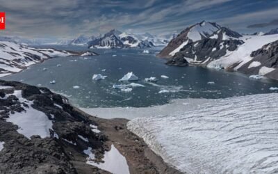 Antarctic sea ice reached its third-lowest winter maximum in satellite records; the latest measurement adds another data point to scientists’ assessment of long-term changes in polar ice