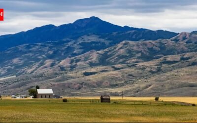 An Iowa farmer whose family farms 400 acres says crops barely cover taxes; after a solar project won a key county permit, he says leases are running about $1,200 per acre and hopes most of his land can join