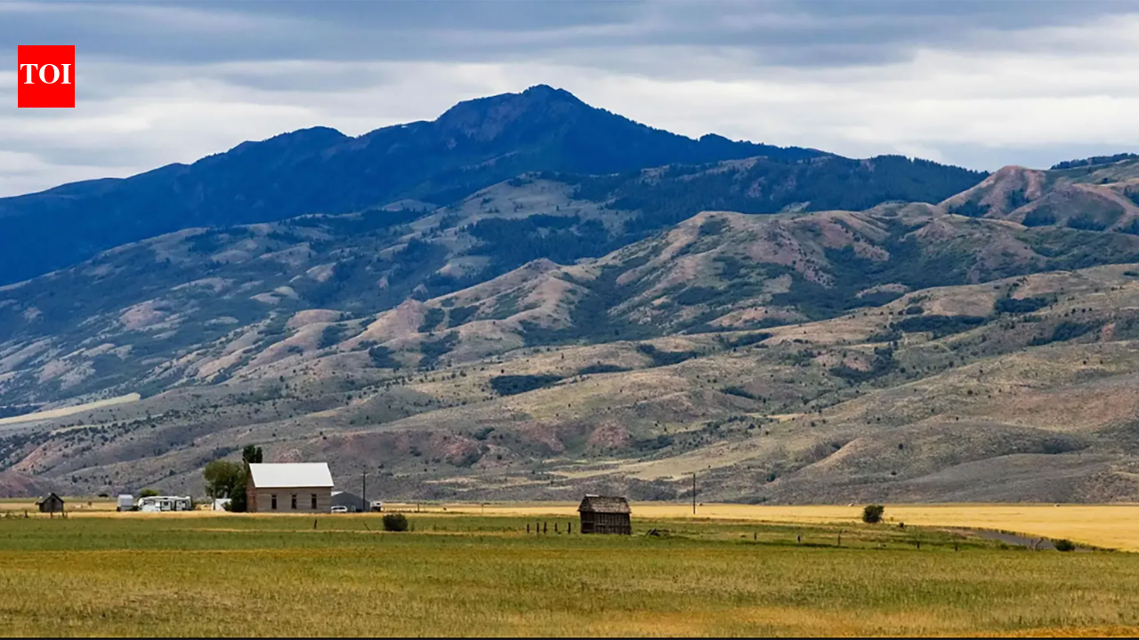 An Iowa farmer whose family farms 400 acres says crops barely cover taxes; after a solar project won a key county permit, he says leases are running about ,200 per acre and hopes most of his land can join