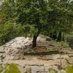 In 2022 US Department of Agriculture funded a trial by spreading cardboard in gardens to avoid weeds; by the second season weeds covered only 15% of the cardboard beds compared to 45% in tilted beds