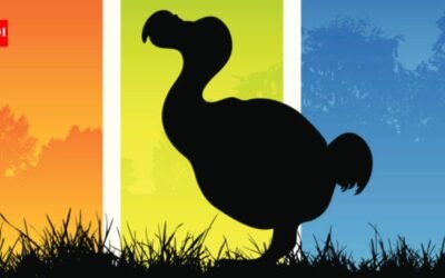 US biotech firm completes 95% of dodo’s genome and identifies gene-editing targets; could the extinct bird come alive again through its closest living relative, the Nicobar pigeon?
