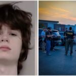 Alexandros Paporakis: US temple attack plot: Teen’s alleged manifesto describes Indians as ‘subhumans’