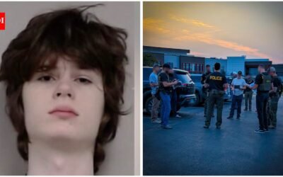 Alexandros Paporakis: US temple attack plot: Teen’s alleged manifesto describes Indians as ‘subhumans’