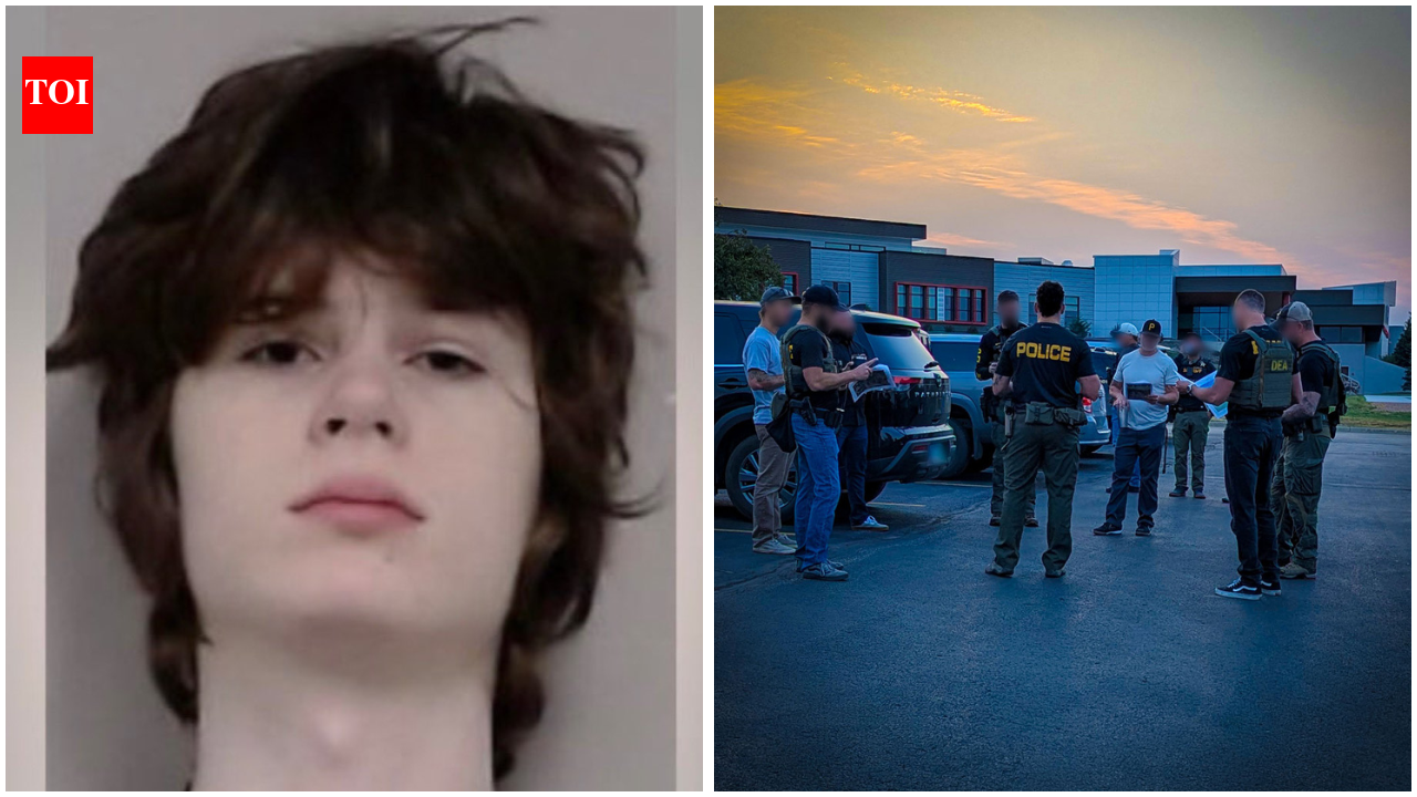 Alexandros Paporakis: US temple attack plot: Teen’s alleged manifesto describes Indians as ‘subhumans’