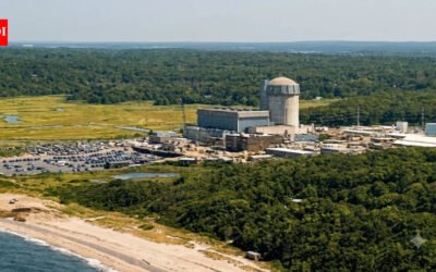 Land once reserved for New York’s Shoreham nuclear plant has become Long Island’s largest DEC acquisition, with the state paying $28.25 million to permanently protect nearly 750 coastal acres