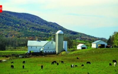 A Pennsylvania woman lived on a 60-acre family farm for 22 years, then agreed to sell it for $250,000 with a proposed 99-year lease letting her stay; an appeals court kept the sale blocked after her siblings objected
