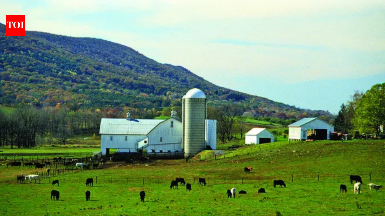 A Pennsylvania woman lived on a 60-acre family farm for 22 years, then agreed to sell it for $250,000 with a proposed 99-year lease letting her stay; an appeals court kept the sale blocked after her siblings objected