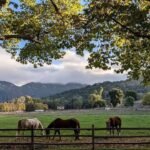 In 2022, a California owner agreed to a discounted  million sale of 402 acres despite approvals for 500+ homes; four years later, a land trust sued to stop permanent roads and utilities inside the preserve