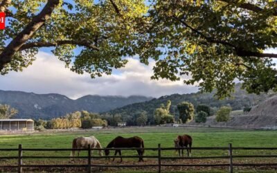 In 2022, a California owner agreed to a discounted $10 million sale of 402 acres despite approvals for 500+ homes; four years later, a land trust sued to stop permanent roads and utilities inside the preserve