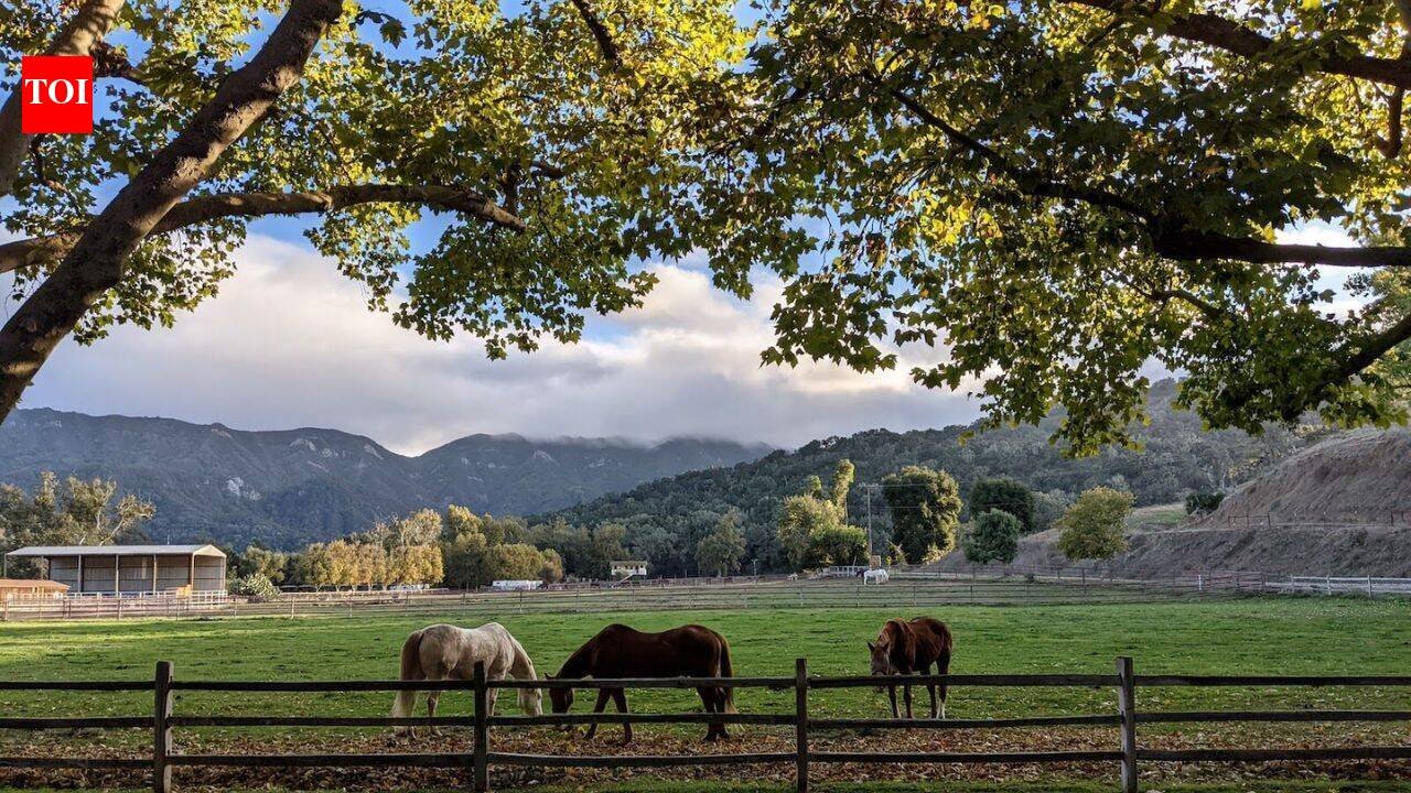 In 2022, a California owner agreed to a discounted  million sale of 402 acres despite approvals for 500+ homes; four years later, a land trust sued to stop permanent roads and utilities inside the preserve