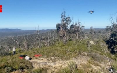 Researchers used drone LiDAR to scan rugged Australian bushland that is difficult to search on foot; the technology led them to three previously unregistered Aboriginal rock shelters with red hand stencils