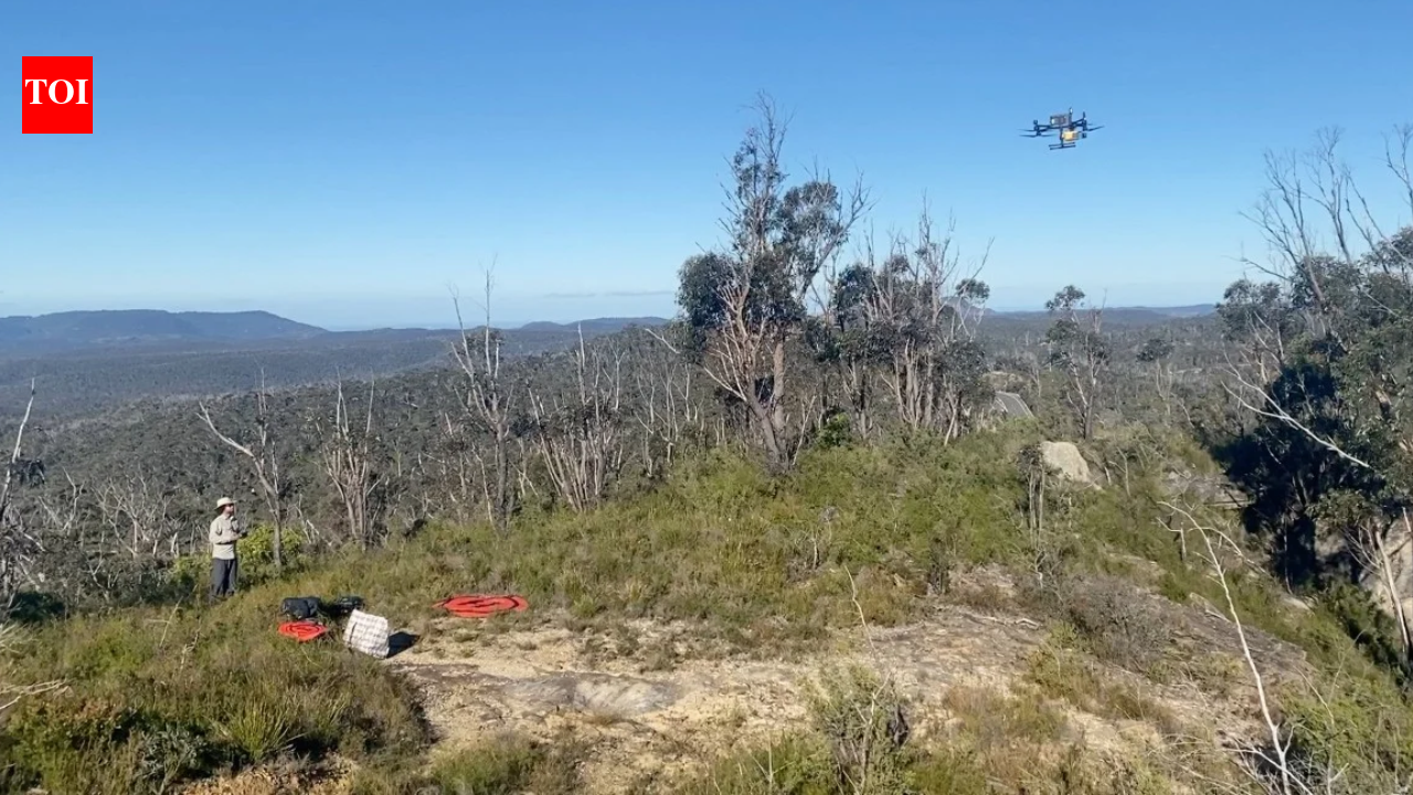 Researchers used drone LiDAR to scan rugged Australian bushland that is difficult to search on foot; the technology led them to three previously unregistered Aboriginal rock shelters with red hand stencils