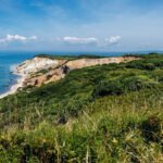Martha’s Vineyard rejected a 54-acre subdivision with 26 below-market lots and 19 luxury homes after seven marathon meetings, leaving land bought for .6 million in 2017 undeveloped for now