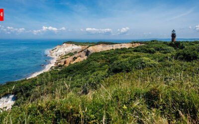 Martha’s Vineyard rejected a 54-acre subdivision with 26 below-market lots and 19 luxury homes after seven marathon meetings, leaving land bought for $6.6 million in 2017 undeveloped for now