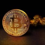 How a Brooklyn crypto cop took down a global scam network