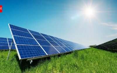 A California farm earned about $100 per acre a year from dry-farmed wheat; after Alan Changala leased 300 acres for solar at $1,000 per acre, the same land began paying roughly 10 times the crop income