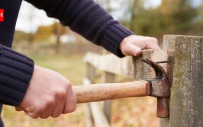 Missouri man was fixing a fence after a months-long property-line dispute when his neighbour allegedly fired a shot; police say video showed a 60-year-old woman pointing a gun at the fence, and court set $500,000 bond