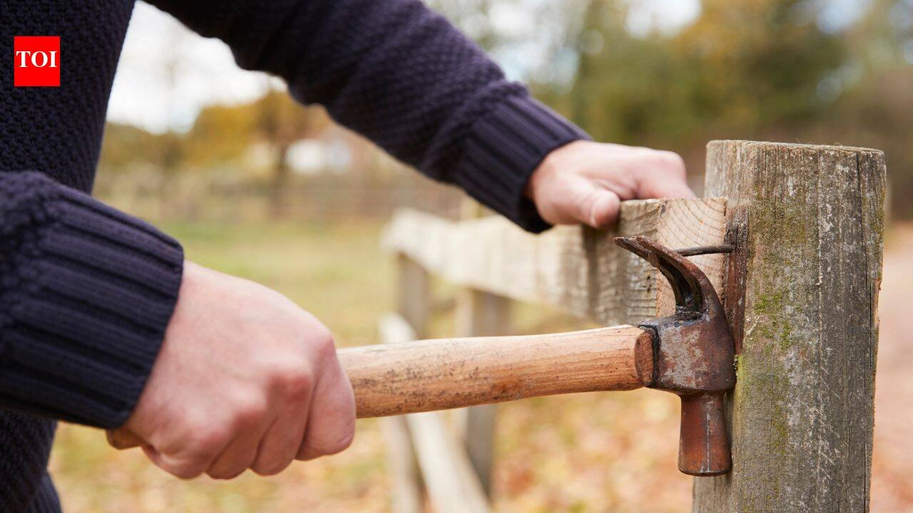 Missouri man was fixing a fence after a months-long property-line dispute when his neighbour allegedly fired a shot; police say video showed a 60-year-old woman pointing a gun at the fence, and court set 0,000 bond