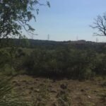 In 1858, a Texas family began holding ranchland that developers later wanted for 3,500 houses; in 2016, the family backed a plan to preserve 204 acres for a San Antonio park worth nearly  million