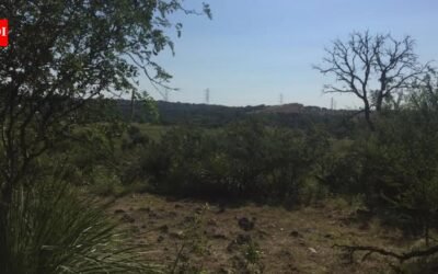 In 1858, a Texas family began holding ranchland that developers later wanted for 3,500 houses; in 2016, the family backed a plan to preserve 204 acres for a San Antonio park worth nearly $10 million