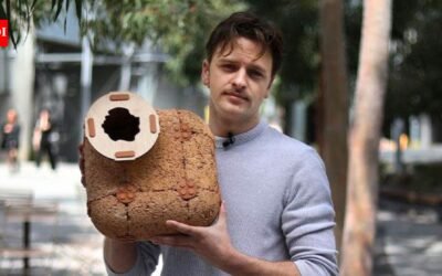 An Australian designer develops hempcrete tiles to recreate tree hollows and rocky crevices; shelters aim to help threatened wildlife, including eastern quolls and ringtail possums | World News