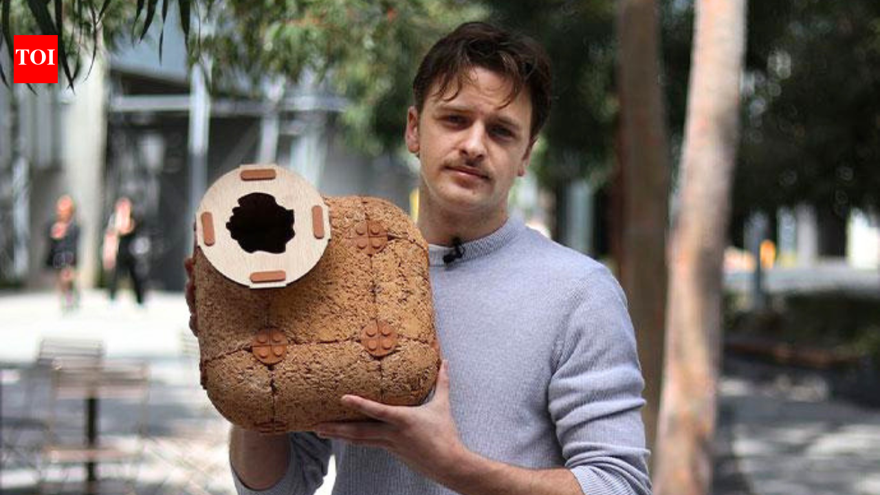 An Australian designer develops hempcrete tiles to recreate tree hollows and rocky crevices; shelters aim to help threatened wildlife, including eastern quolls and ringtail possums | World News