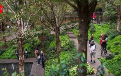 Ford Foundation exceeded its $100 million pledge with $158.5 million for Indigenous land rights and forest protection, supporting 324 organisations over five years | World News