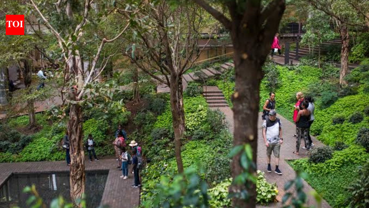 Ford Foundation exceeded its $100 million pledge with $158.5 million for Indigenous land rights and forest protection, supporting 324 organisations over five years | World News