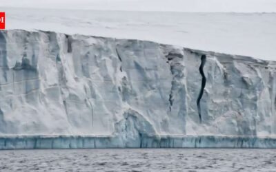 Scientists tracked glacier cliffs using 15,330 satellite observations and found a surprise: some retreated faster than predicted but then stabilized instead of collapsing endlessly