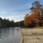 In 1902, Pennsylvania began buying nearly treeless, fire-damaged land for just 18 cents to  an acre; decades of replanting added more than a million trees and helped build Promised Land State Park