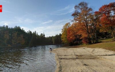In 1902, Pennsylvania began buying nearly treeless, fire-damaged land for just 18 cents to $2 an acre; decades of replanting added more than a million trees and helped build Promised Land State Park