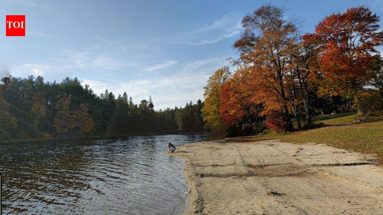 In 1902, Pennsylvania began buying nearly treeless, fire-damaged land for just 18 cents to  an acre; decades of replanting added more than a million trees and helped build Promised Land State Park