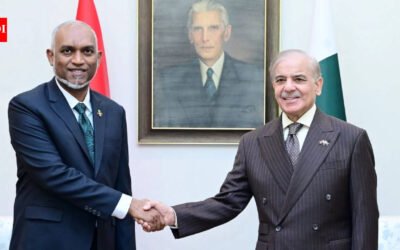 In Pakistan, Maldives President Mohamed Muizzu calls for early Saarc summit