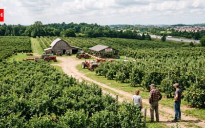 An Ontario farmer says he turned down a C$16 million offer for his 164-acre fruit farm; instead, his family placed 29 acres under a 999-year easement, with plans to protect the rest from development