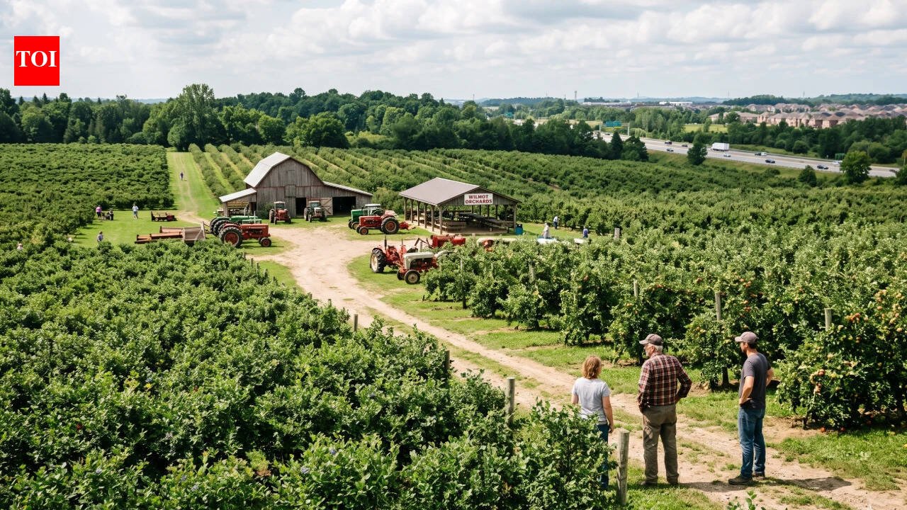An Ontario farmer says he turned down a C million offer for his 164-acre fruit farm; instead, his family placed 29 acres under a 999-year easement, with plans to protect the rest from development