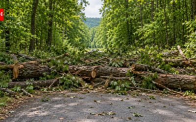 A New York family owned half of a private road beside its 45-acre property; after relatives blocked it with tree trunks, the state’s highest court ruled a 1,500-member club had gained title to it