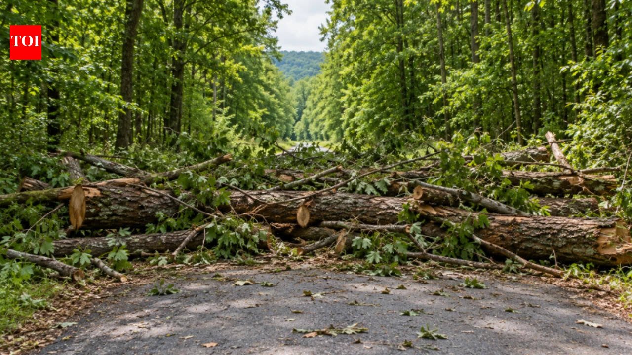 A New York family owned half of a private road beside its 45-acre property; after relatives blocked it with tree trunks, the state’s highest court ruled a 1,500-member club had gained title to it